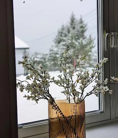 Apartment Modern Easy-living In Neighborhood Tromso