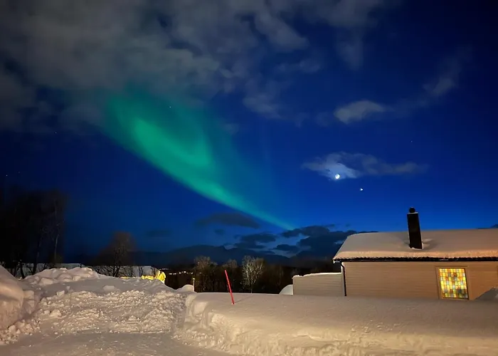 Modern Easy-living In Neighborhood Tromsø